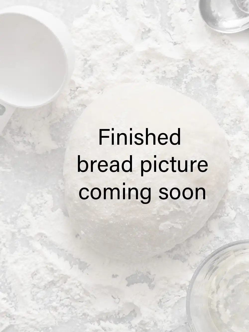 Gluten-Free Sourdough Bread